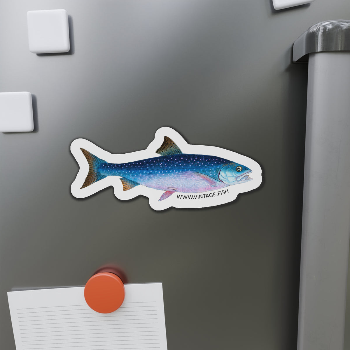 Alpine Char - Magnet – Vintage Fish 