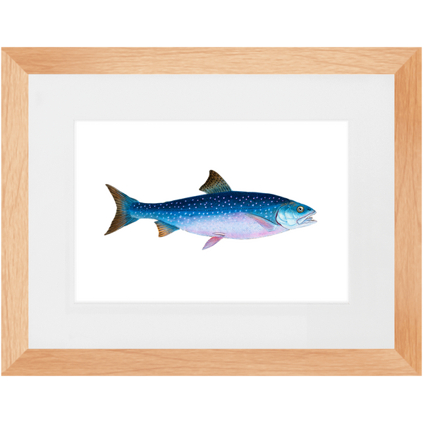 Alpine Char - Framed