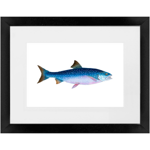 Alpine Char - Framed