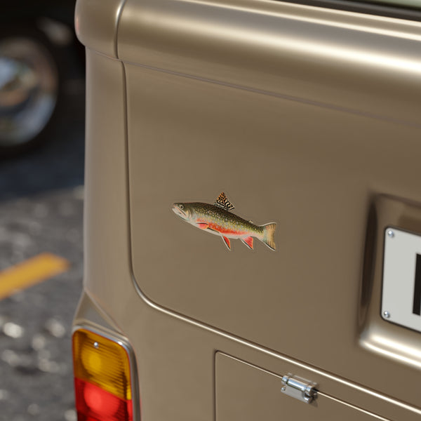 Brook Trout - Decal