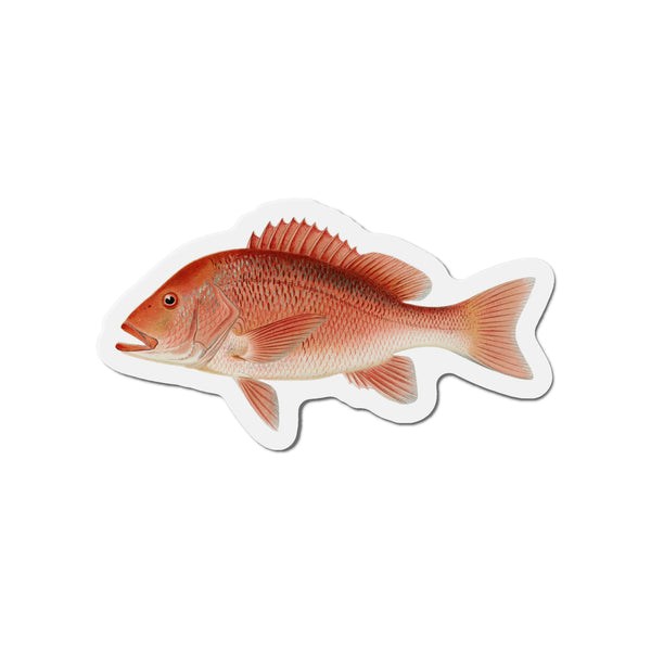 Red Snapper - Magnet