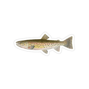 Red Throat Black Spotted Trout - Decal